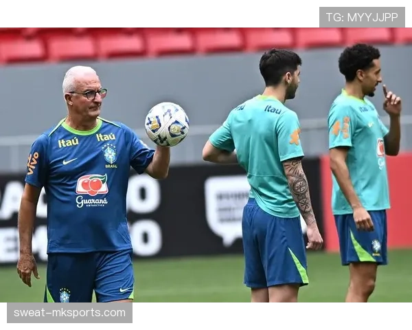 巴西队公布未来发展规划：重塑辉煌之路，年轻才俊闪耀赛场