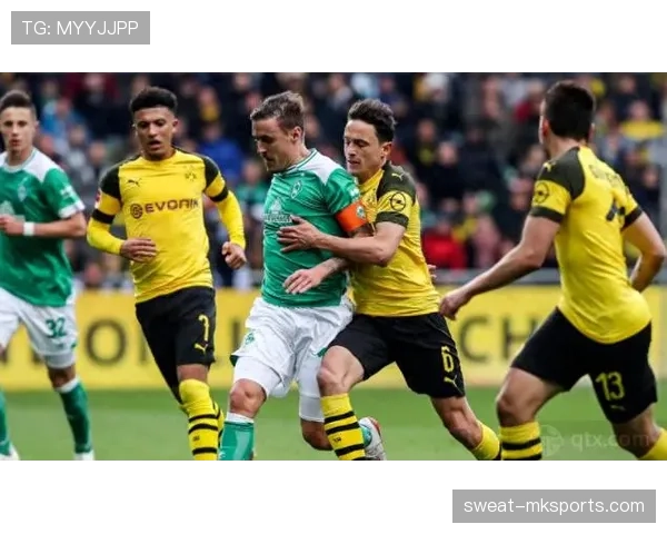 多特蒙德防线稳固，防守能力显著提升引关注