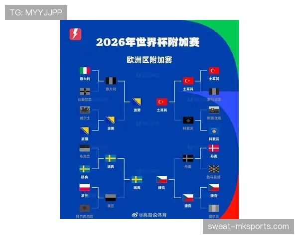 波黑国家队2026世界杯预选赛突围前景分析 核心阵容能否创造历史